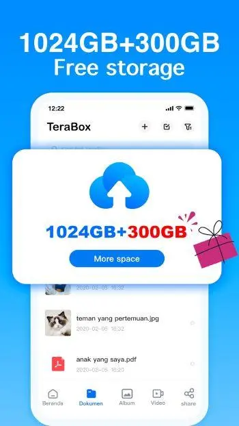 What is terabox mod apk